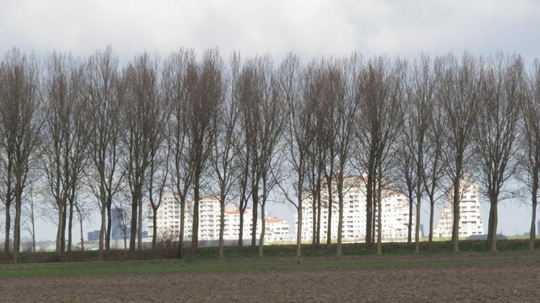 Bomen voor een Flat